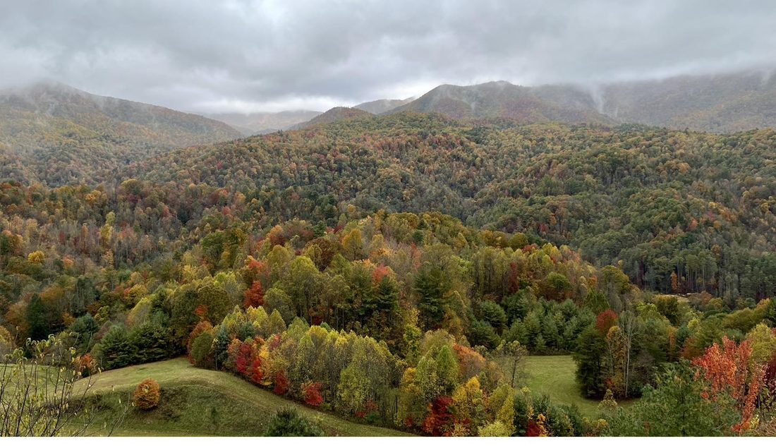 Appalachian trail landscape