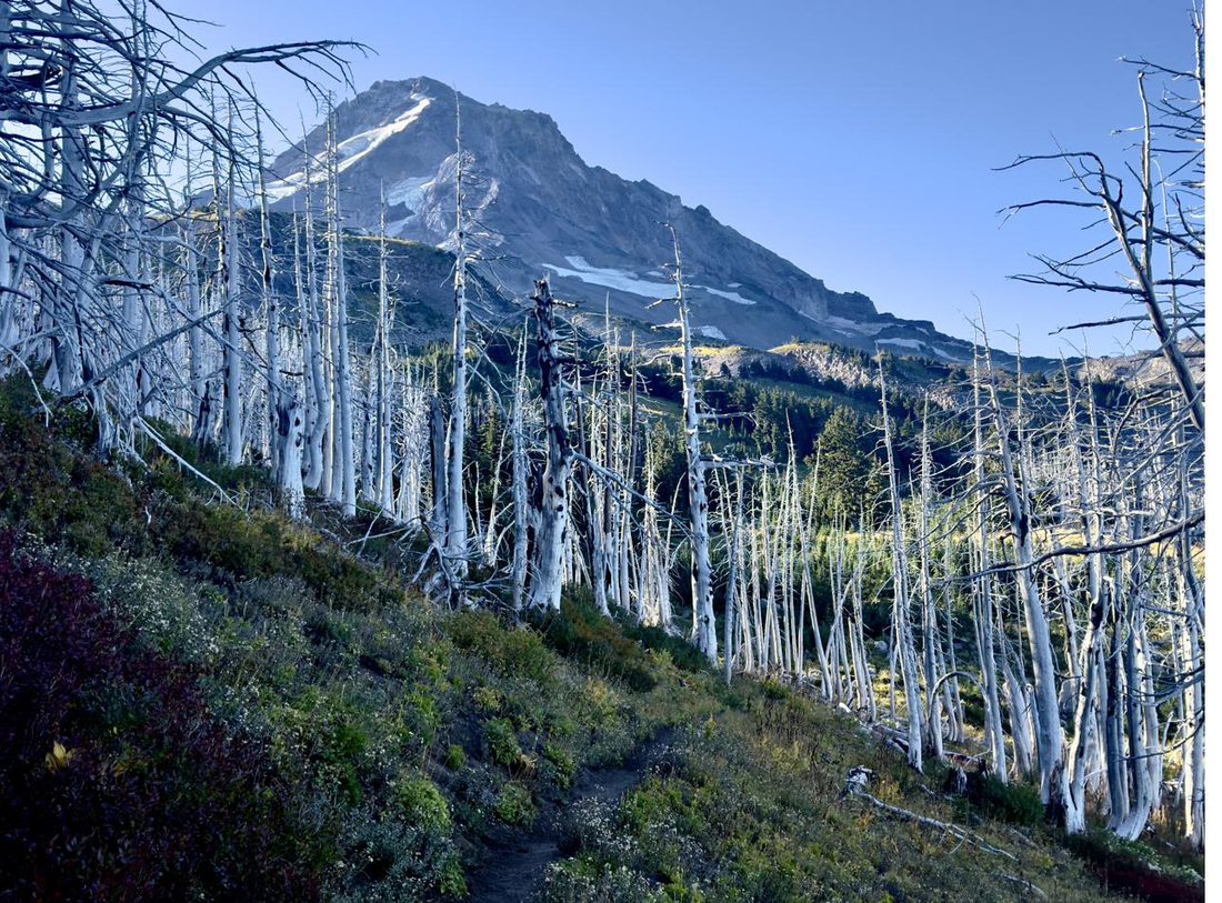 Appalachian trail landscape
