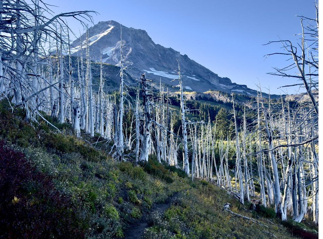 Landscape photograph